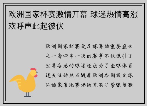 欧洲国家杯赛激情开幕 球迷热情高涨欢呼声此起彼伏