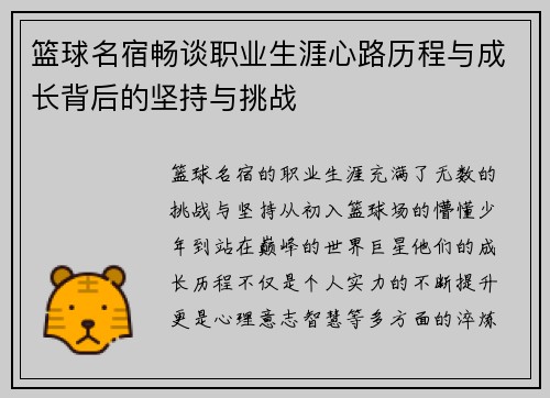 篮球名宿畅谈职业生涯心路历程与成长背后的坚持与挑战