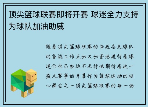 顶尖篮球联赛即将开赛 球迷全力支持为球队加油助威