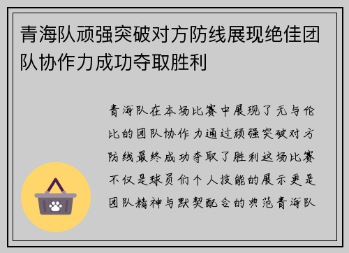 青海队顽强突破对方防线展现绝佳团队协作力成功夺取胜利